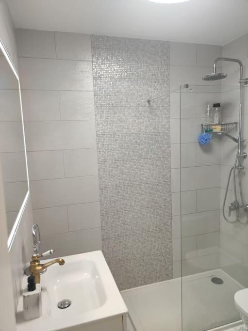 A bathroom at Penthouse Sabina mit Jacuzzi