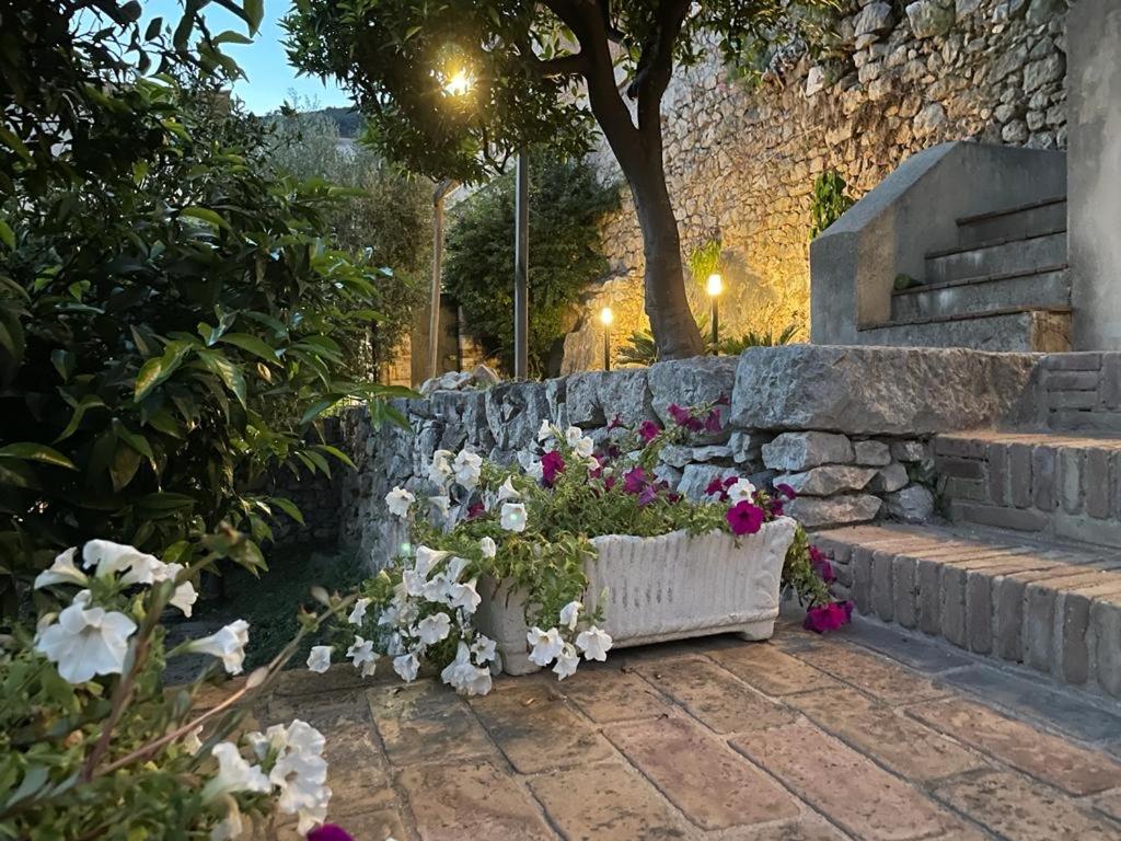 A garden outside La bella vista