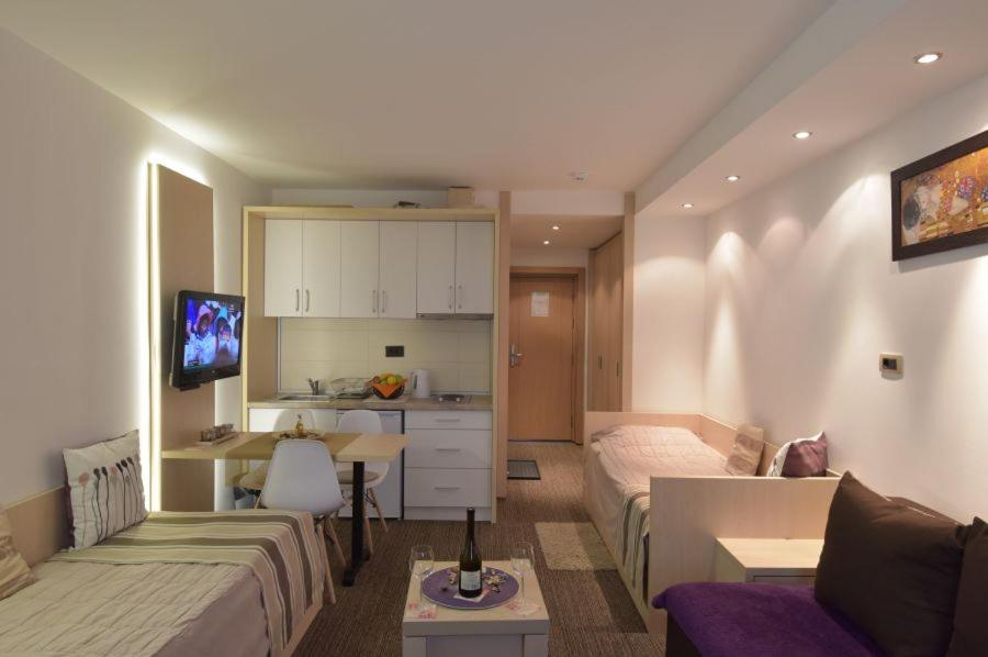 TV a/nebo společenská místnost v ubytování Konaci Kopaonik Lux Apartmani