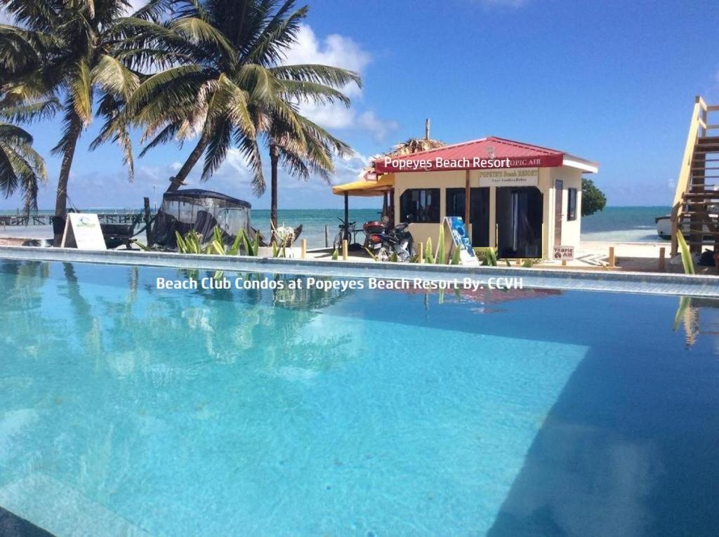 a large swimming pool next to a beach with palm trees at Beach Club Condos at Popeyes in Caye Caulker