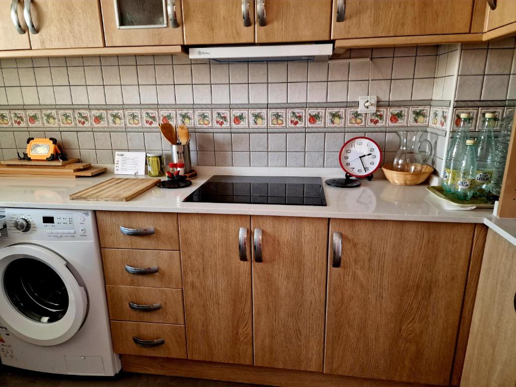 Kuchyň nebo kuchyňský kout v ubytování Apartament CARMEN