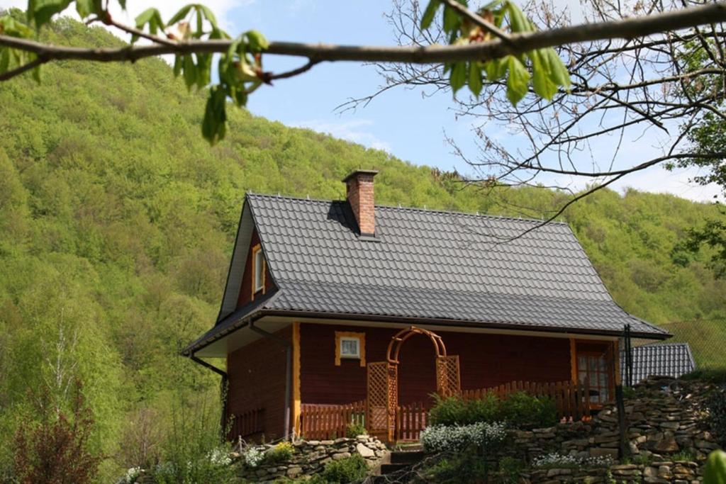a brown house with a mountain in the background at Domek Tosia in Bukowiec