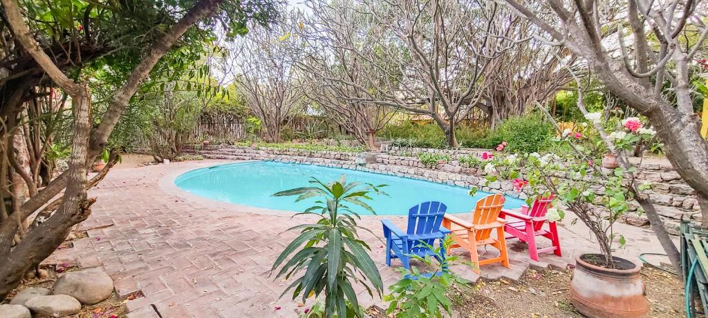 un grupo de sillas sentadas junto a una piscina en La Quinta en Alamos en Álamos