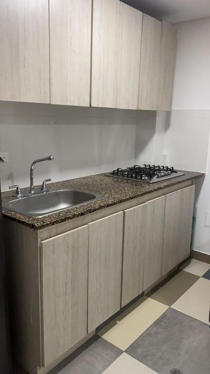 Kuchyň nebo kuchyňský kout v ubytování Hotel Bogota Resort