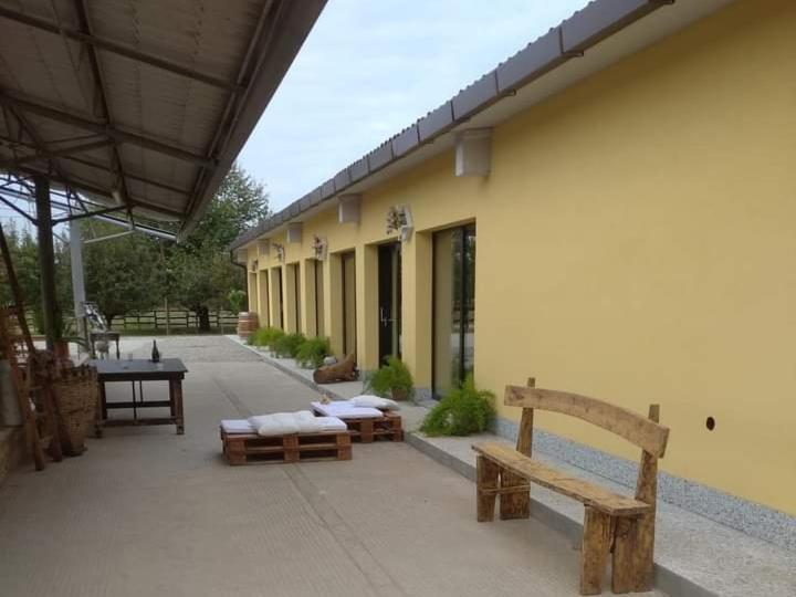 索姆馬隆巴爾多的住宿－Azienda agrituristica Scotti，一个带长椅的庭院和一个带桌子的建筑