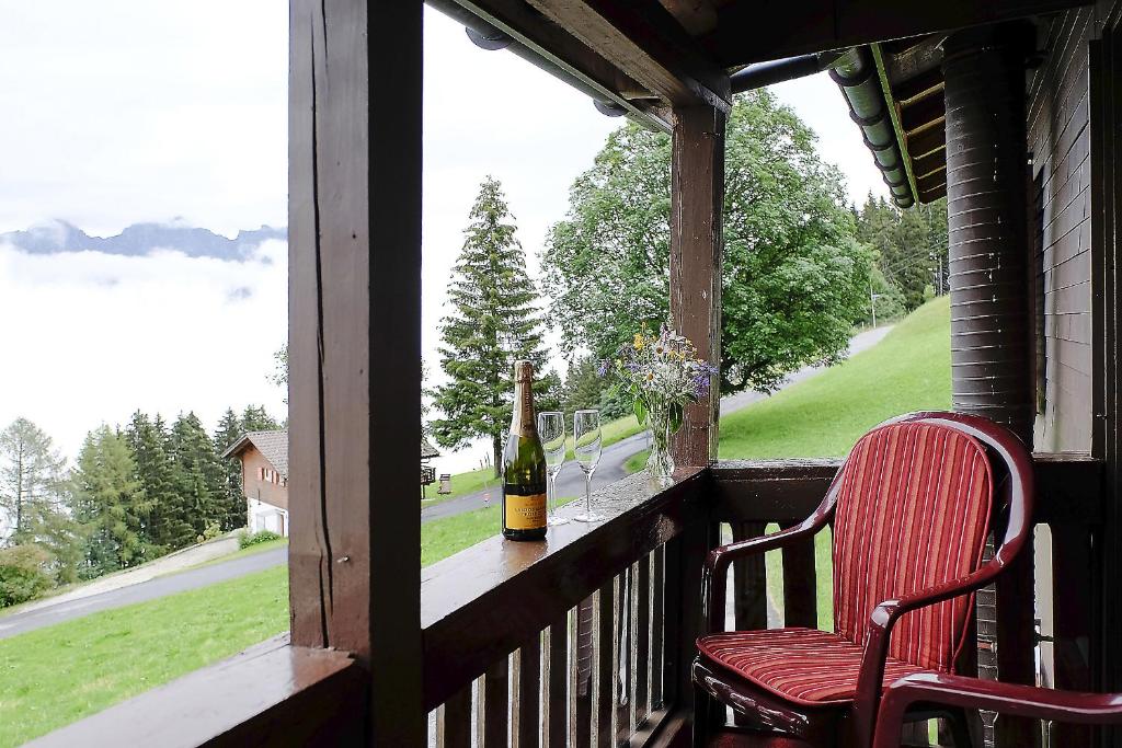 Příroda nedaleko apartmánu
