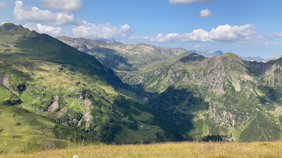 Příroda nedaleko apartmánu