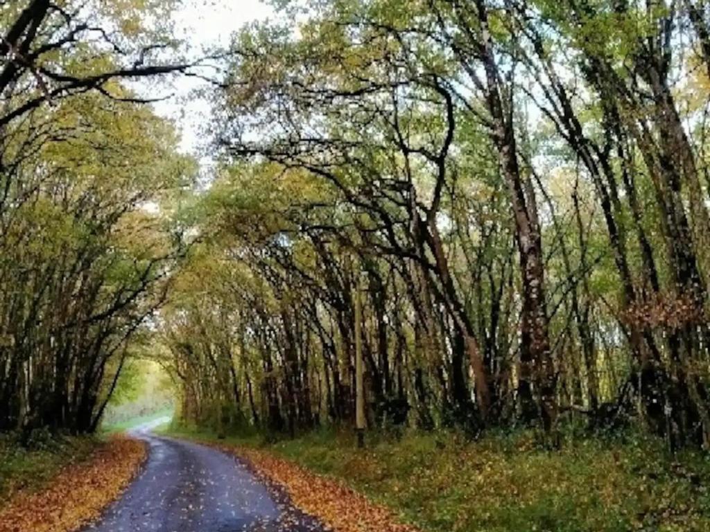 Príroda v okolí dovolenkového domu