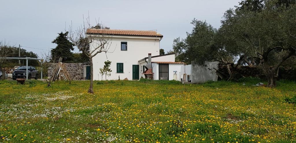 una casa bianca in un campo di fiori di Casa Matilda - Abbasanta - Sardegna - IUN R4877 ad Abbasanta