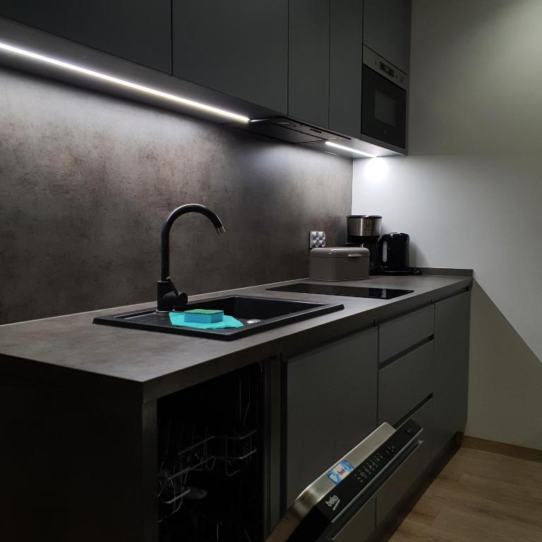 a kitchen with a sink and a counter top at Apartament Holiday B 210 in Pobierowo