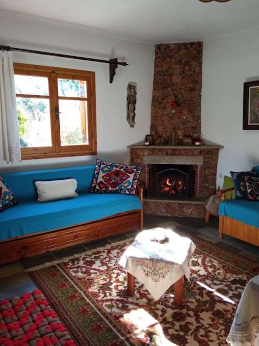 a living room with a blue couch and a fireplace at Persefoni's Traditional House in Promírion