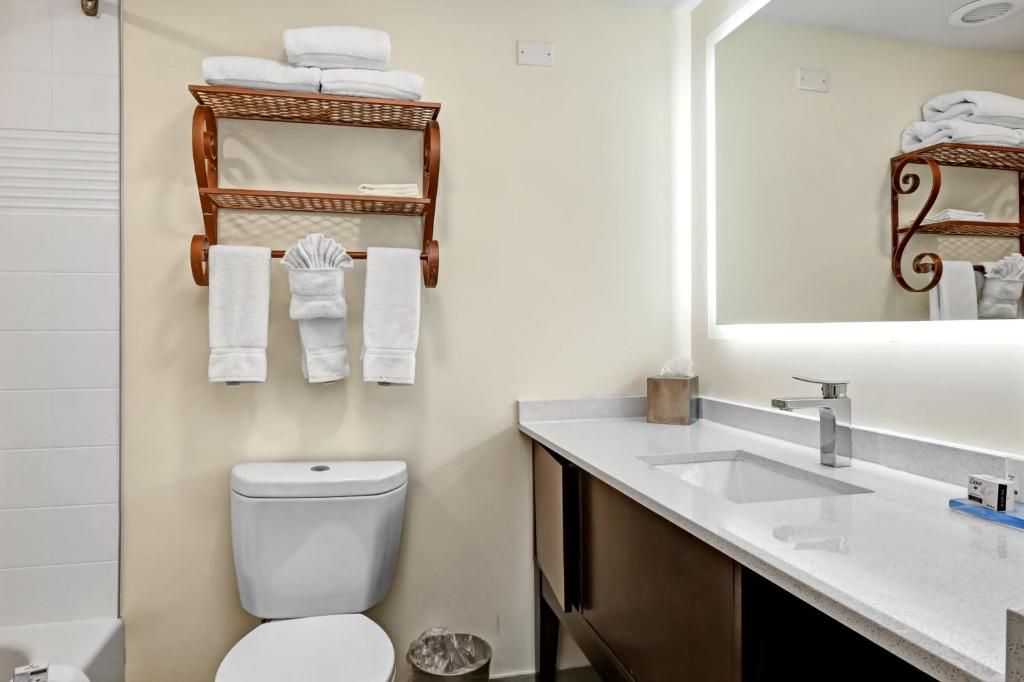 Koupelna v ubytování Holiday Inn - Piscataway - Somerset by IHG