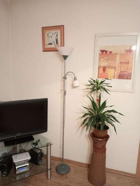 Televízia a/alebo spoločenská miestnosť v ubytovaní Apartament Stroma 4