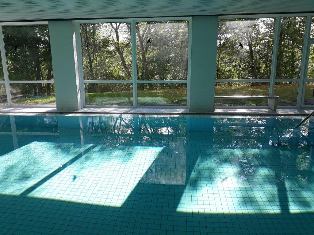 uma piscina com um reflexo na água em Fewo-Heikenberg-mit-Schwimmbad em Bad Lauterberg