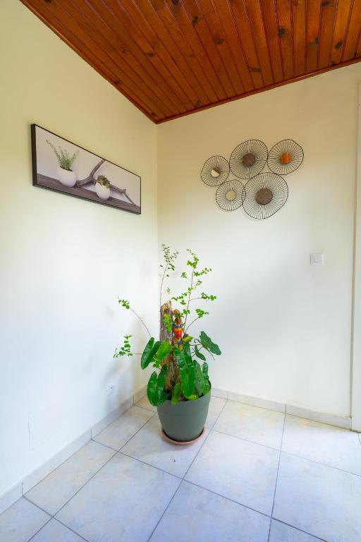 Fotografie z fotogalerie ubytování Charmant logement F3 au sud de la Martinique (PMR) v destinaci Rivière-Pilote