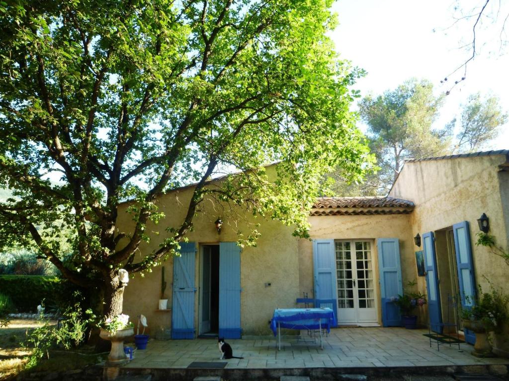 un gato sentado frente a una casa con un árbol en Villa Minouchka, en Tourrettes-sur-Loup