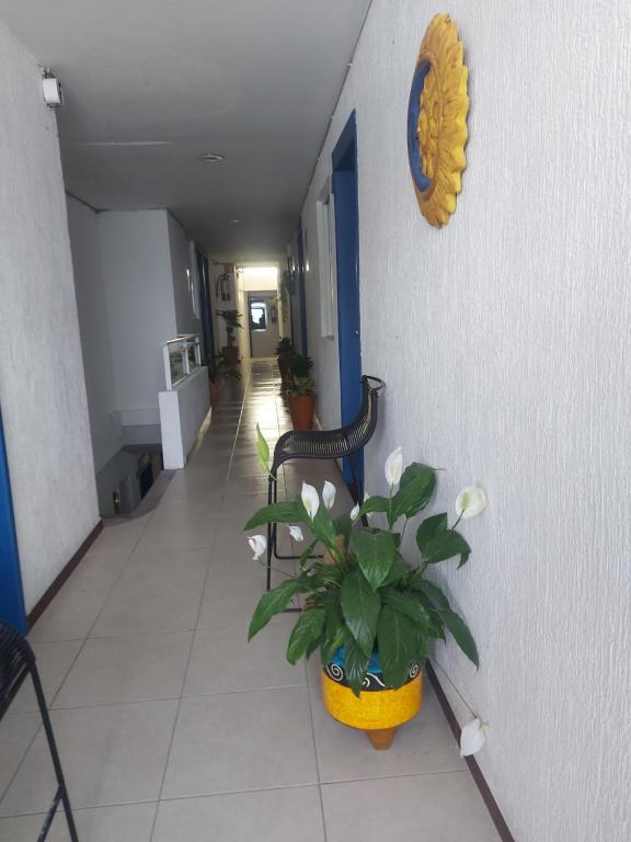 Fotografie z fotogalerie ubytování HOTEL INTI v destinaci Boca del Río