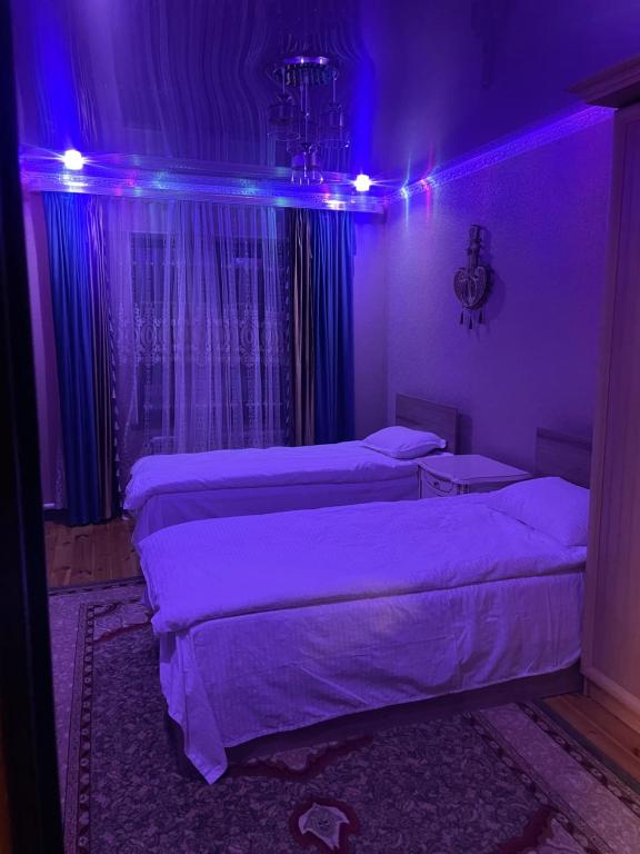 Guest house AITURGAN Kazarman Monte - Budget Twin Room