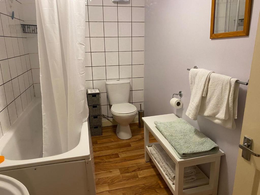 凱恩舍姆的住宿－Welford Apartments - Keynsham，浴室配有卫生间、浴缸和水槽。