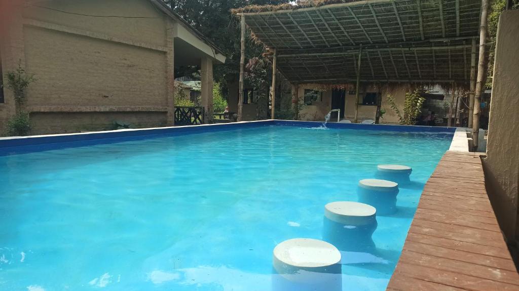 a swimming pool with blue water and stools in it at Tharu Lodge in Sauraha