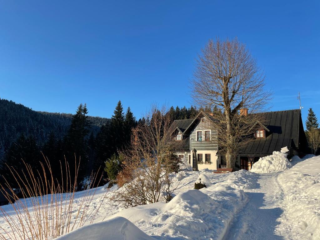 uma casa está coberta de neve com árvores e arbustos em Chalupa 101 em Vítkovice