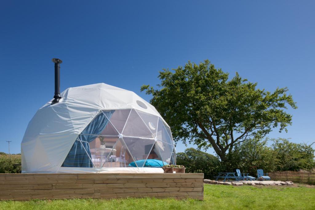 namiot kopuły na polu trawy w obiekcie The Dome at Mid Auchengowan w mieście Lochwinnoch