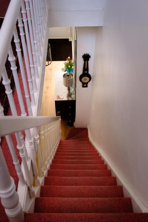 a stairway with red carpeting and a white staircase at Collier's BnB in Bruges