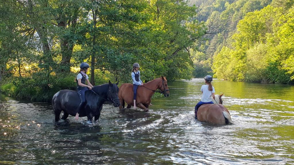 tres personas montando caballos a través de un río en Mühle in der Pferdewelt Reichenau en Reichenau