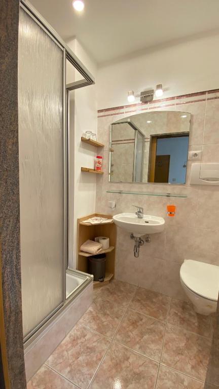 Koupelna v ubytování Haus Mairösl