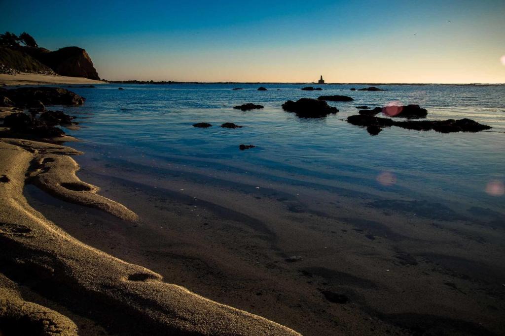 Seal Cove Inn photo