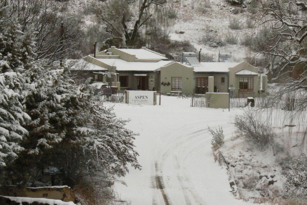 a house covered in snow with a driveway at Aspen Guest House in Clarens