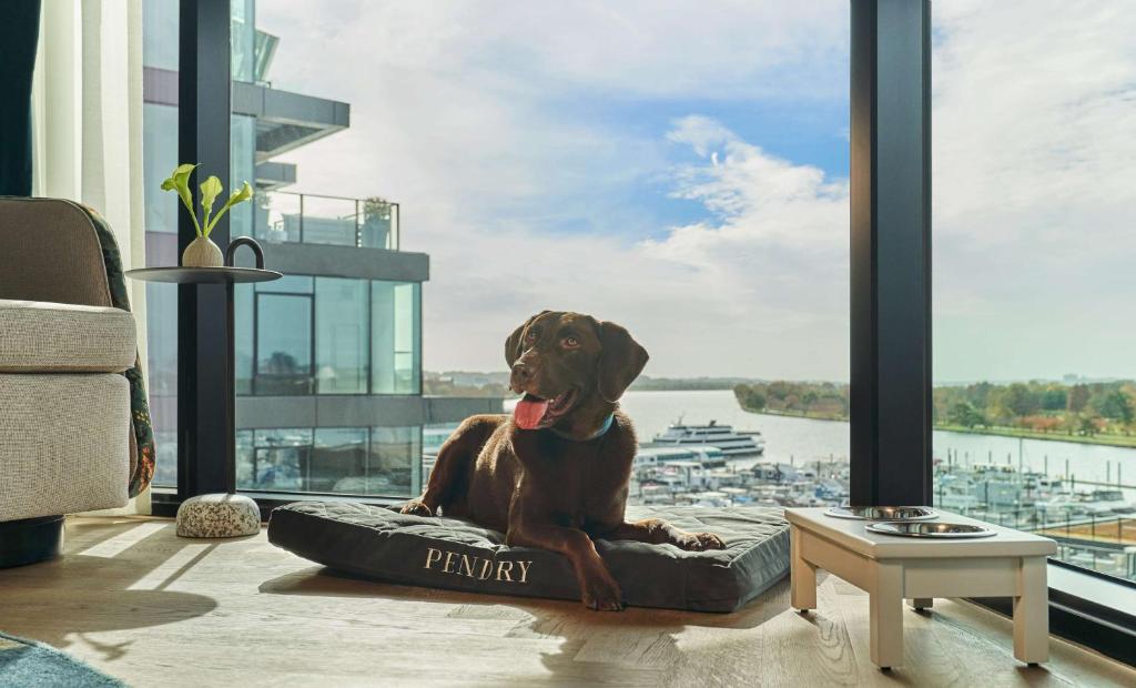 Pendry Washington DC - The Wharf photo