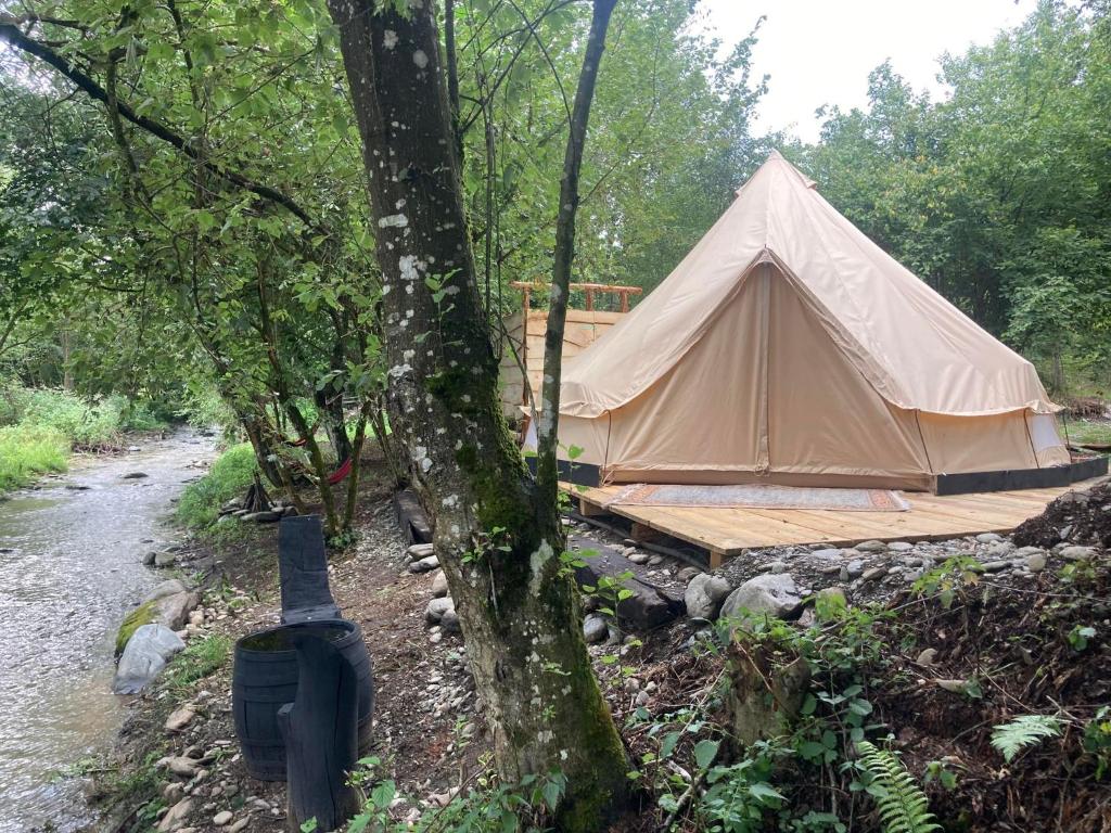 a tent in the woods next to a river at Go Wild Glamping in Sibiu