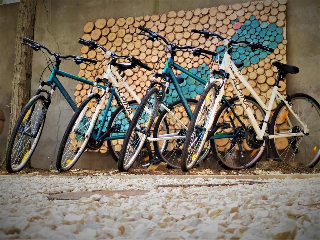 Jazda na bicykli v okolí ubytovania Sylvia Apartman