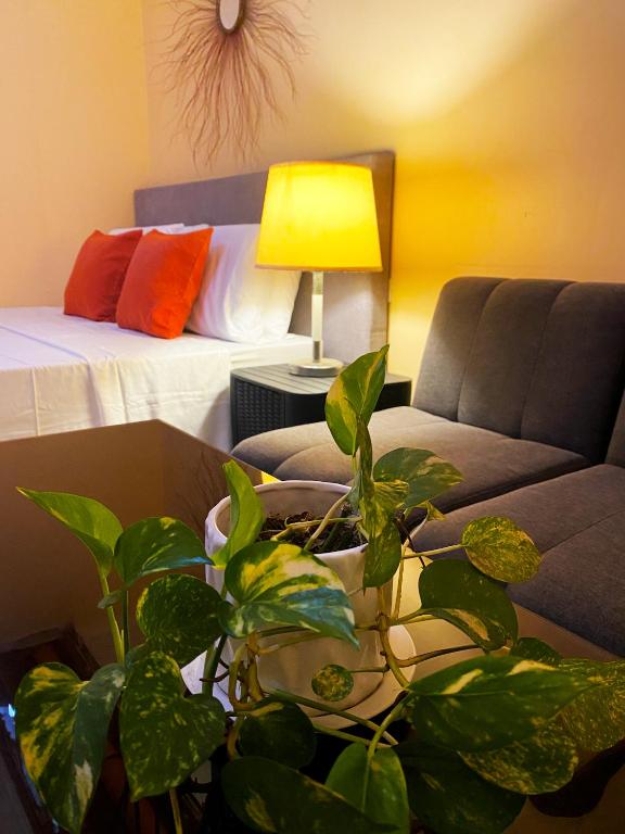 Posezení v ubytování Little Norway Guesthouse - Mactan Cebu International Airport