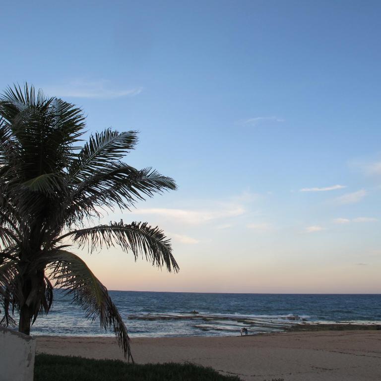  Alfazema Cultural Bed and Breakfast