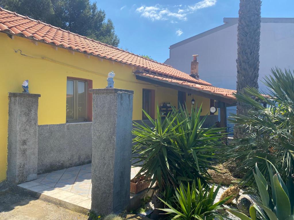 a yellow house with a palm tree in front of it at Casa Vacanza Sa dommu de Teresa in Nebida