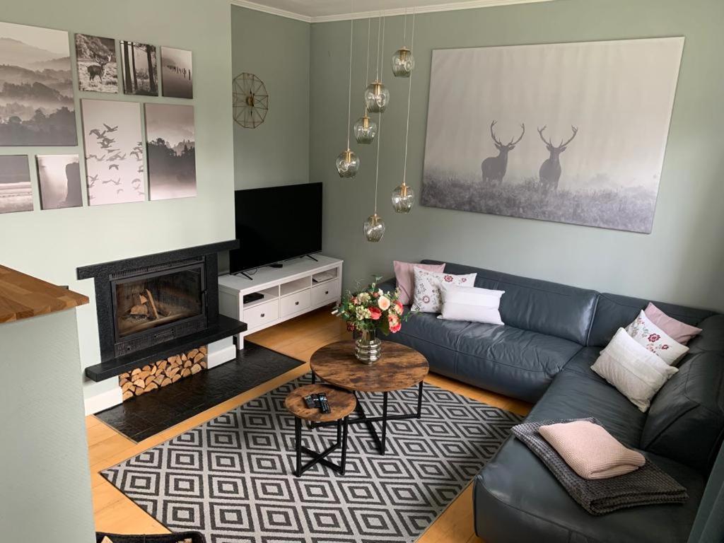 TV a/nebo společenská místnost v ubytování Ferienhaus Bendestorf, Waldweg 38,Nähe Hamburg