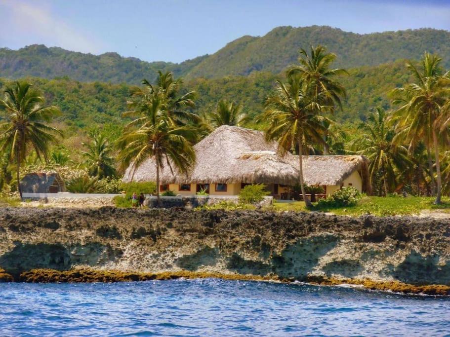 a house on a island with palm trees and the water at Villa Punta Coral in Las Galeras