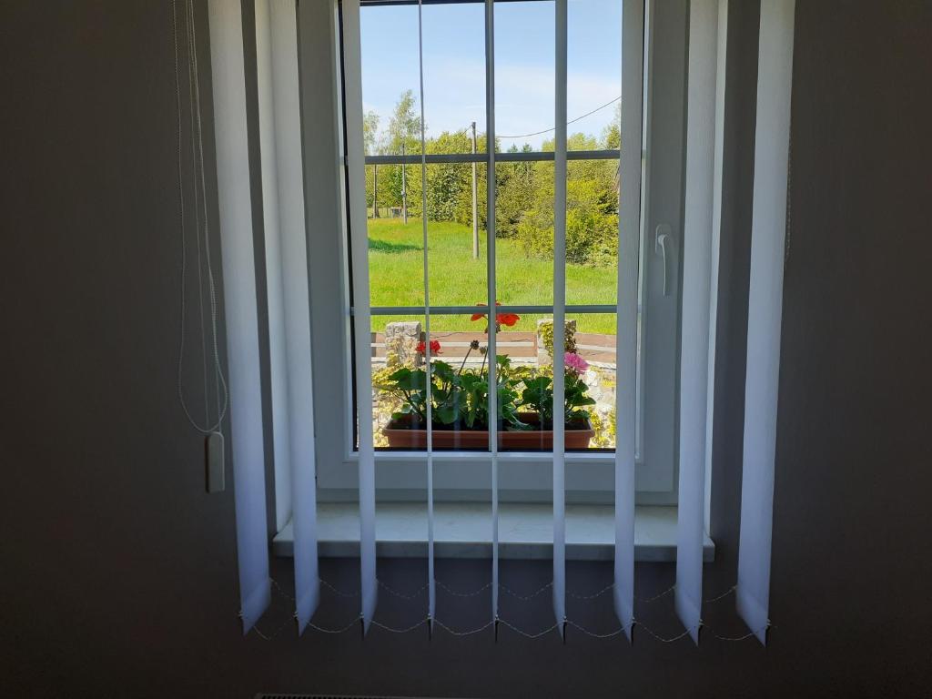 a window with a flower pot on a window sill at Tisá 488 in Tisá