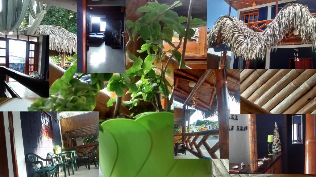 Fotografie z fotogalerie ubytování Hostel El Gran Azul Olon v destinaci Olón