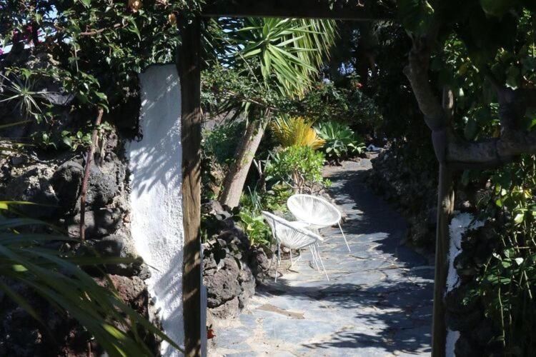 A garden outside Finca La Hoya, El Tanque