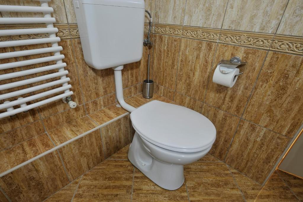 a bathroom with a white toilet in a room at Demetrovics Udvarház in Eger