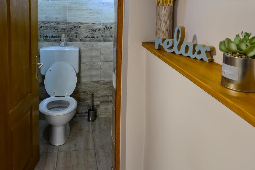 a bathroom with a white toilet in a room at Demetrovics Udvarház in Eger