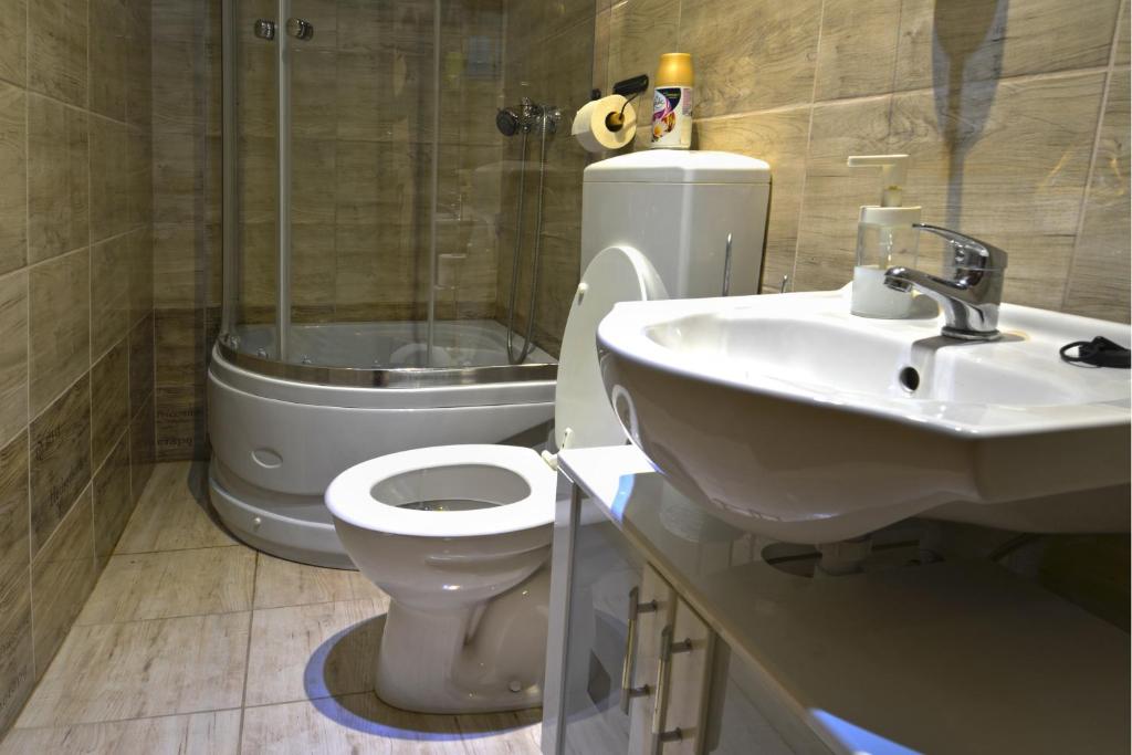 a bathroom with a toilet and a sink at Demetrovics Udvarház in Eger