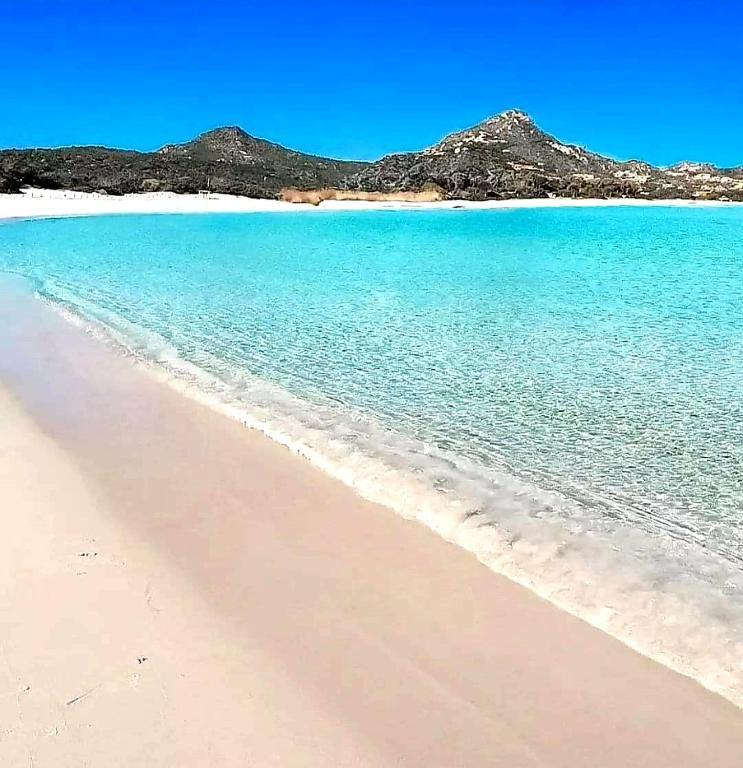 Táj Show holiday homes közelében