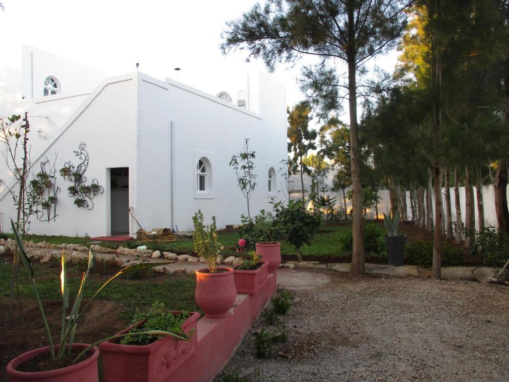 a white building with potted plants in front of it at Dar Mozart in Essaouira