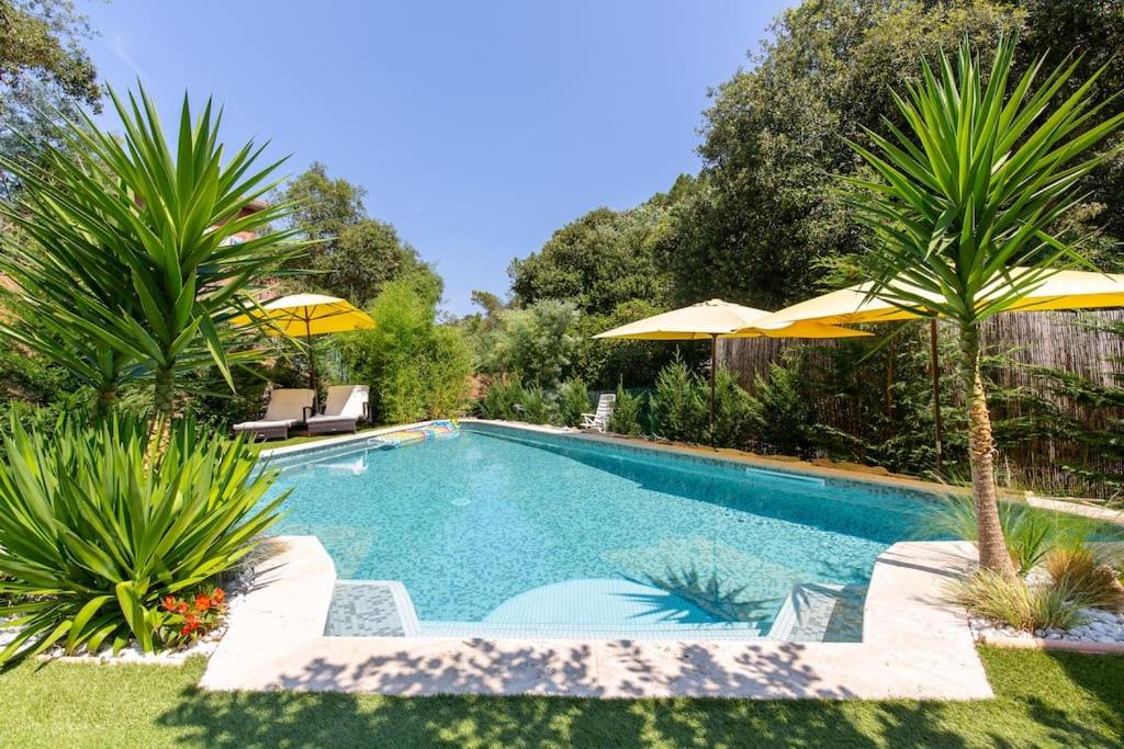 - une piscine avec deux palmiers et des parasols dans l'établissement 2 pièces climatisé à 200m des plages, à Théoule-sur-Mer