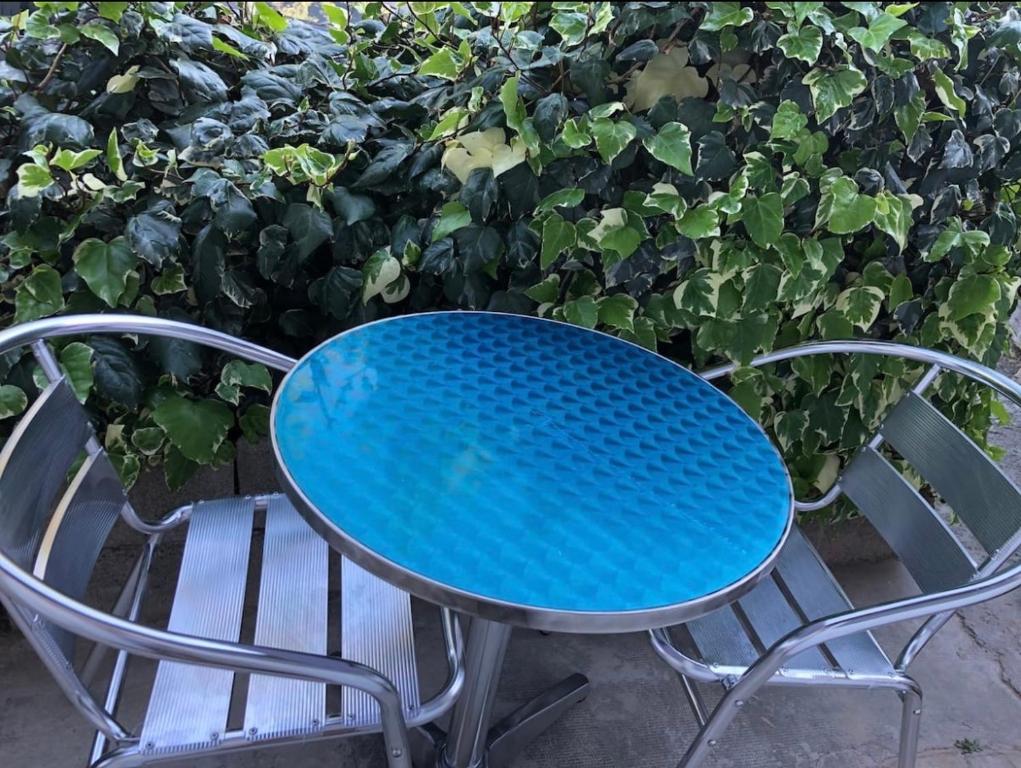 uma mesa azul e duas cadeiras em frente a um arbusto em Studio au centre du village em Châteauneuf