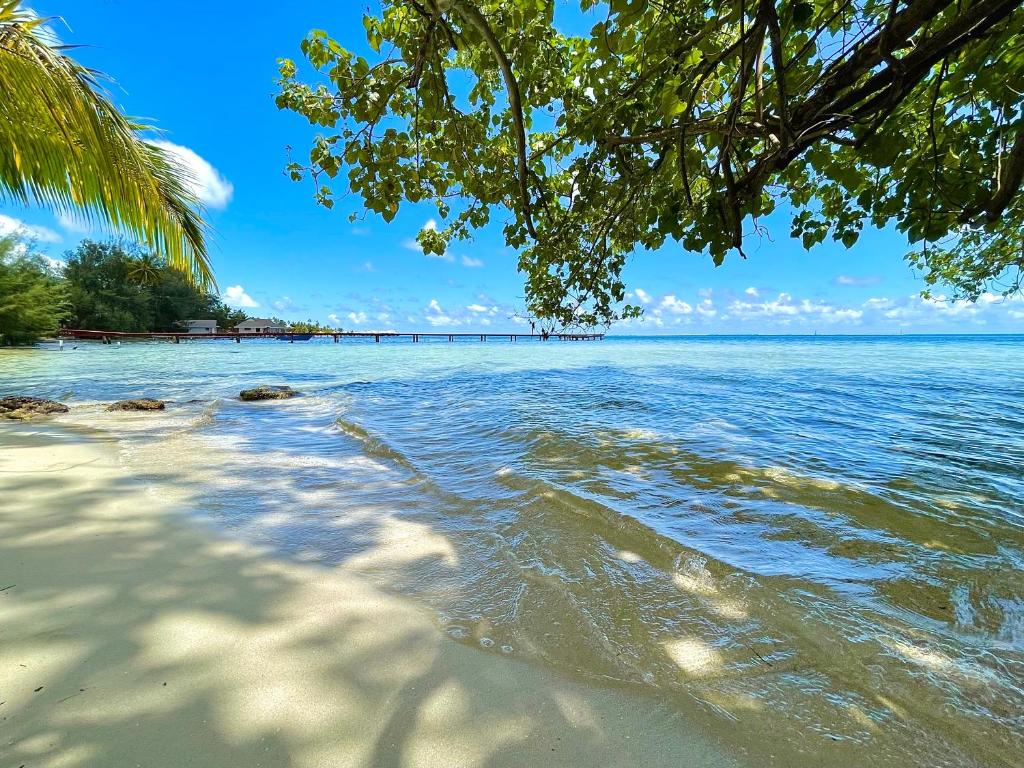 a view of the ocean from the shore of a beach at Turia's Beach Villa in Moorea